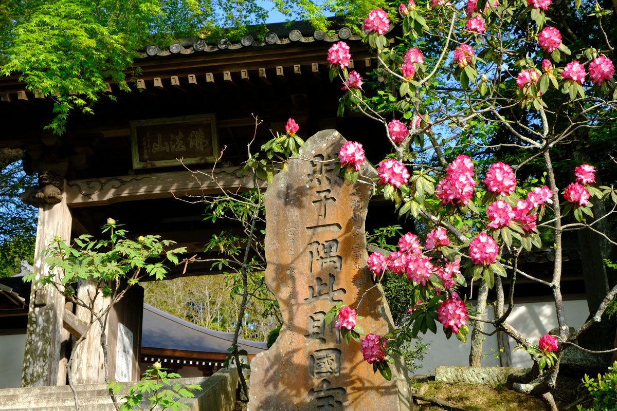 天台宗の古刹、仏法山薬王寺