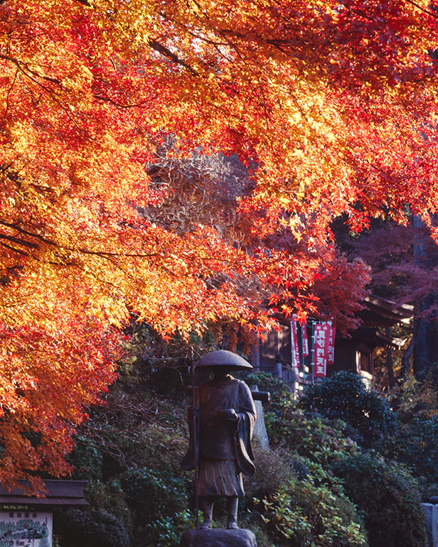 紅葉の大師像