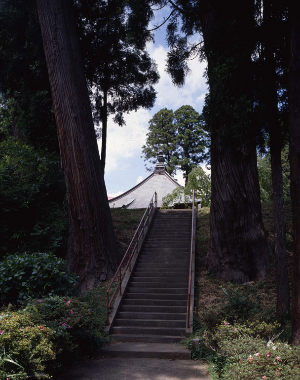 大杉と石段