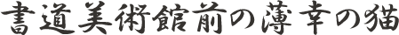 書道美術館前の薄幸の猫