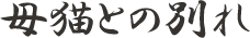 母猫との別れ