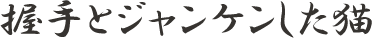 握手とジャンケンした猫