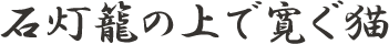 石灯籠の上で寛ぐ猫