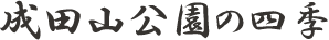 成田山公園の四季(予告)