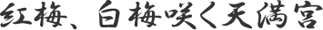 紅梅、白梅咲く天満宮