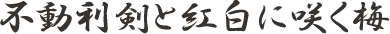 不動利剣と紅白に咲く梅