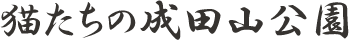 猫たちの成田山公園