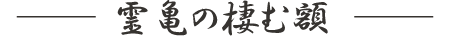 霊亀の棲む額