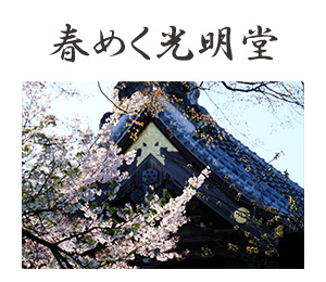 春めく光明堂