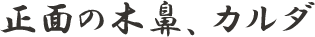 正面の木鼻、カルダ