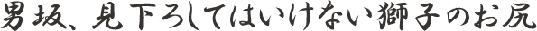 男坂、見下ろしてはいけない獅子のお尻