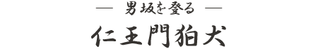 仁王門狛犬 成田山新勝寺男坂を登る