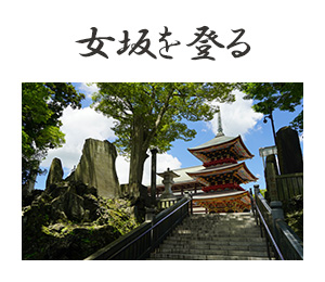 女坂を登る